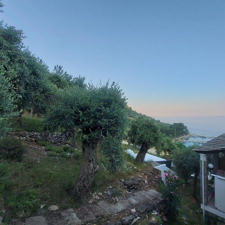 Dionysos Hotel สกาลา โปเตมิอัส ภายนอก รูปภาพ